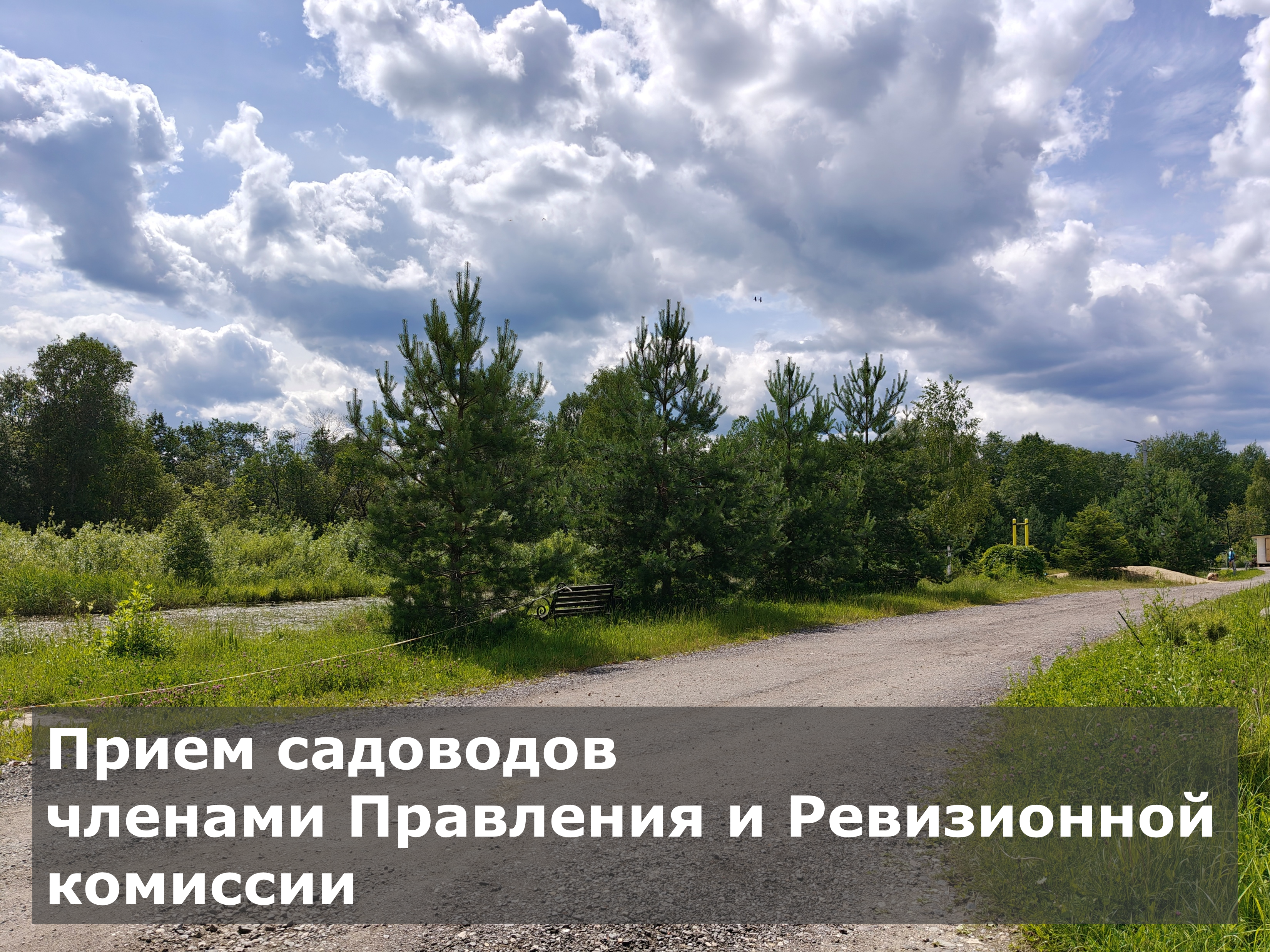 Прием садоводов членами Правления и Ревизионной комиссии